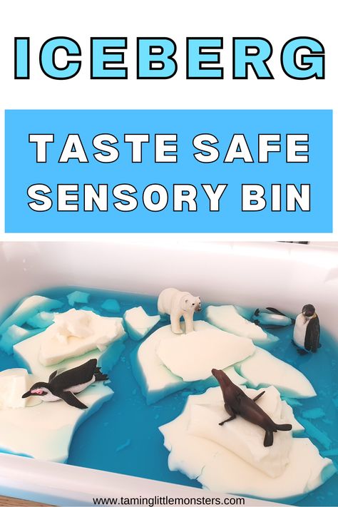 Pre K, Sensory Bins, Montessori, Sensory Activities, Winter Sensory Bin, Sensory Activities Toddlers, Toddler Sensory Bins, Toddler Sensory, Infant Sensory Activities