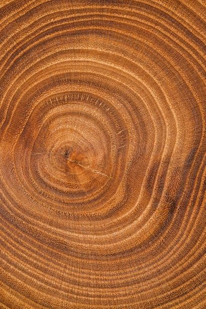 Fondo madera vista superior | Free Photo #Freepik #freephoto #fondo #madera #naturaleza #natural Texture, Design, Nature, Wallpapers, Ideas, Naturaleza, Background, Fotos, Abstract
