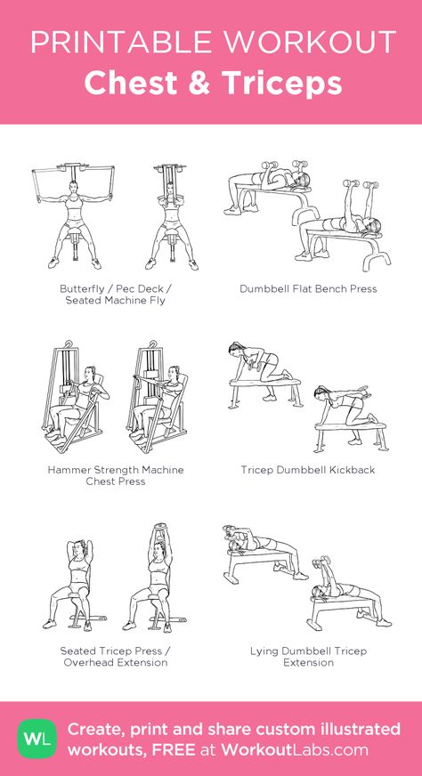 Fitness Workouts, Fitness, Chest Workouts, Muscle Building Workouts, Chest Workout Women, Crossfit Workout Plan, Chest And Tricep Workout, Oblique Exercises, Gym Workout Plan For Women