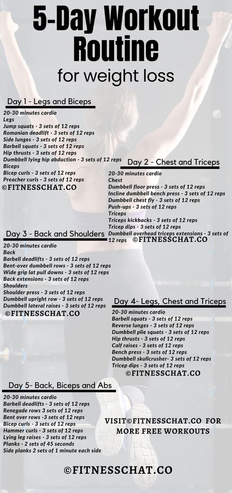 5 day workout split, 5 day workout routine, 5 day workout routine for weight loss and muscle gain Motivation, Workout Programs For Women, Weight Loss Workout Plan, 6 Day Workout Split Women, Workout Plan For Women, 5 Day Workout Split Women, Weight Workout Plan, Weight Gain Workout, Workout Plans For Women