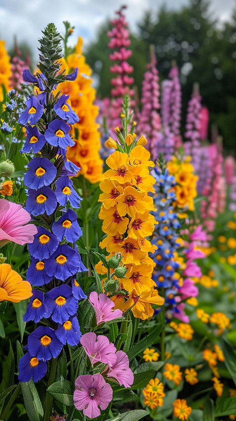 Must-Have Tall Perennial Flowers for Your Garden: 15 Varieties Floral, Gardening, Home Décor, Nature, Tall Perennial Flowers, Flowers Perennials, Shade Flowers Perennial, Garden Flowers Perennials, Perennial Bulbs
