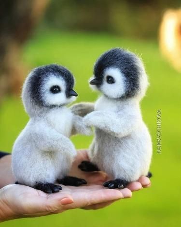 too cute!! Pandas, Disney, Penguins, Animals, Kawaii, Cute Penguins, Adorable, Lol, Animals Beautiful