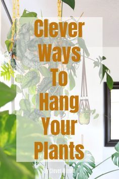 Home Décor, Container Gardening, Household Plants, Plant Care Houseplant, Hanging Plants Diy, Hanging Indoor Plants, Hanging Plants Indoor, Growing Plants Indoors, Hanging Plants Outdoor