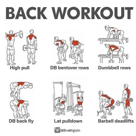 Fitness | Nutrition | Training on Instagram: “✅Back Workout 🔥 • SAVE FOR YOUR BACK DAY💪! . Follow us for more ❤️ - What’s your favourite muscle group to workout? ➖➖➖➖➖➖➖➖➖➖…” Fitness, Gym, Muscle Groups To Workout, Bicep Workout Gym, Dumbbell Back Workout, Dumbell Workout, Back Workout Bodybuilding, Gym Workouts For Men, Gym Back Workout