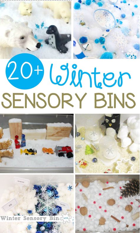 Fun-Filled Winter Sensory Bins for Kids Pre K, Sensory Bins, Sensory Play, Montessori, Toddler Activities, Winter Sensory Bin, Toddler Sensory Bins, Toddler Sensory, Kids Sensory