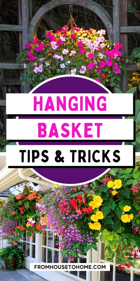 Inspiration, Decoration, Shaded Garden, Home Décor, Container Gardening, Plants For Hanging Baskets, Hanging Planters Outdoor, Hanging Basket Garden, Hanging Plants Outdoor