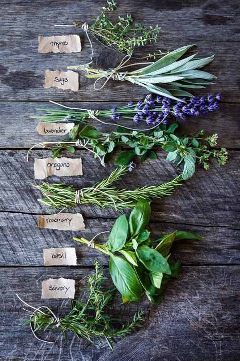 Herb Garden, Design, Spices And Herbs, Herbs & Spices, Aromatic Herbs, Fresh Herbs, Herb De Provence Recipe, Herbs De Provence, Herb