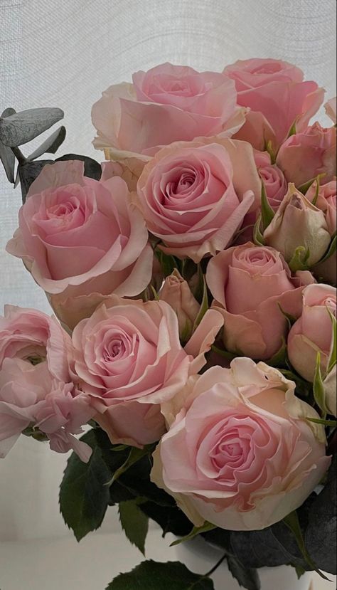 Pink Roses, Pink, Roses, Pink Flowers, Pink Flowers Photography, Pink Rose Flower, White And Pink Roses, Light Pink Flowers, Pink Rose