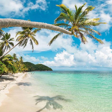 🥇 10 Mejores Playas de Colombia 2020 | Travelgrafía San Andres, Cartagena, Trips, Colombia Travel, Playa, Paisajes, Places To Go, Viajes, Verano