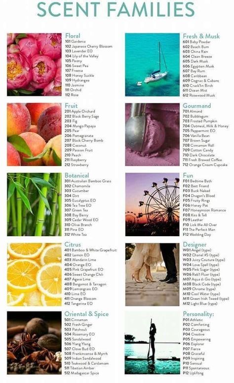 Scent Families! Schedule your Blending Bar to take out scent profile quiz to see which areas you love most to create your scent bathologie.com/sweet essence Fragrance, Essential Oils, Perfume, Scents, Healing Scents, Natural Scents, Perfume Scents, Aromatherapy Oils, Essential Oil Perfume