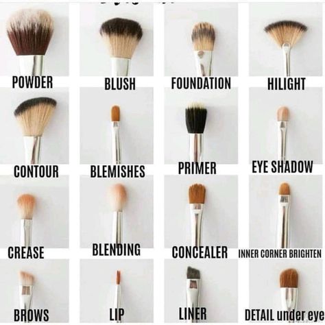 Natural Make Up, Eye Make Up, Foundation, Eyeliner, Concealer, Makeup Help, Makeup Order, How To Use Makeup, Eye Makeup Brushes Guide