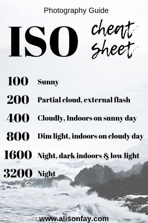 Learn how to control your camera's ISO with this free cheat sheet. #travelphotography #photographyguides #phototips #cheatsheet #photoguides #photography Photography Cheat Sheets, Inspiration, Instagram, Travel Photography, Photography Help, Photography Editing, Professional Camera For Beginners, Photography Settings, Photography Guide