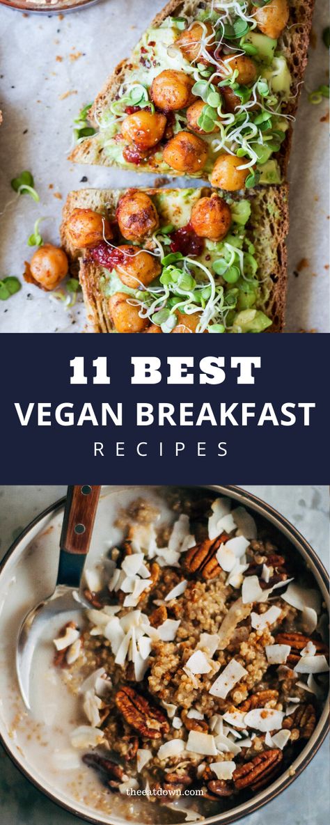 Check out these best vegan breakfast recipes from around the web. Easy vegan breakfast recipes including easy tofu breakfast burritos, chia overnight oats, vegan smoothie bowls, and more! #vegan #breakfast #recipes Breakfast Recipes, Healthy Recipes, Vegan Breakfast, Best Vegan Breakfast, Vegetarian Breakfast Recipes, Breakfast Brunch Recipes, Healthy Vegan Breakfast, Vegan Brunch, Vegan Breakfast Recipes