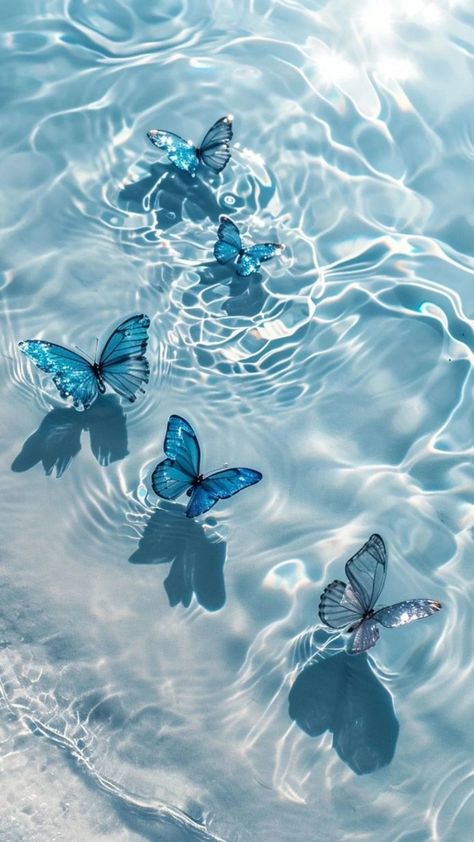 Free download of high-quality iPhone wallpapers dreamy beauty of nature – Bujo Art Shop Cute Blue Wallpaper, Cute Wallpaper Backgrounds, Photo Profil, Butterfly Wallpaper, Wallpaper Backgrounds, Pretty Wallpaper Iphone, Cute Wallpaper For Phone, Butterfly Wallpaper Backgrounds, Cute Wallpapers