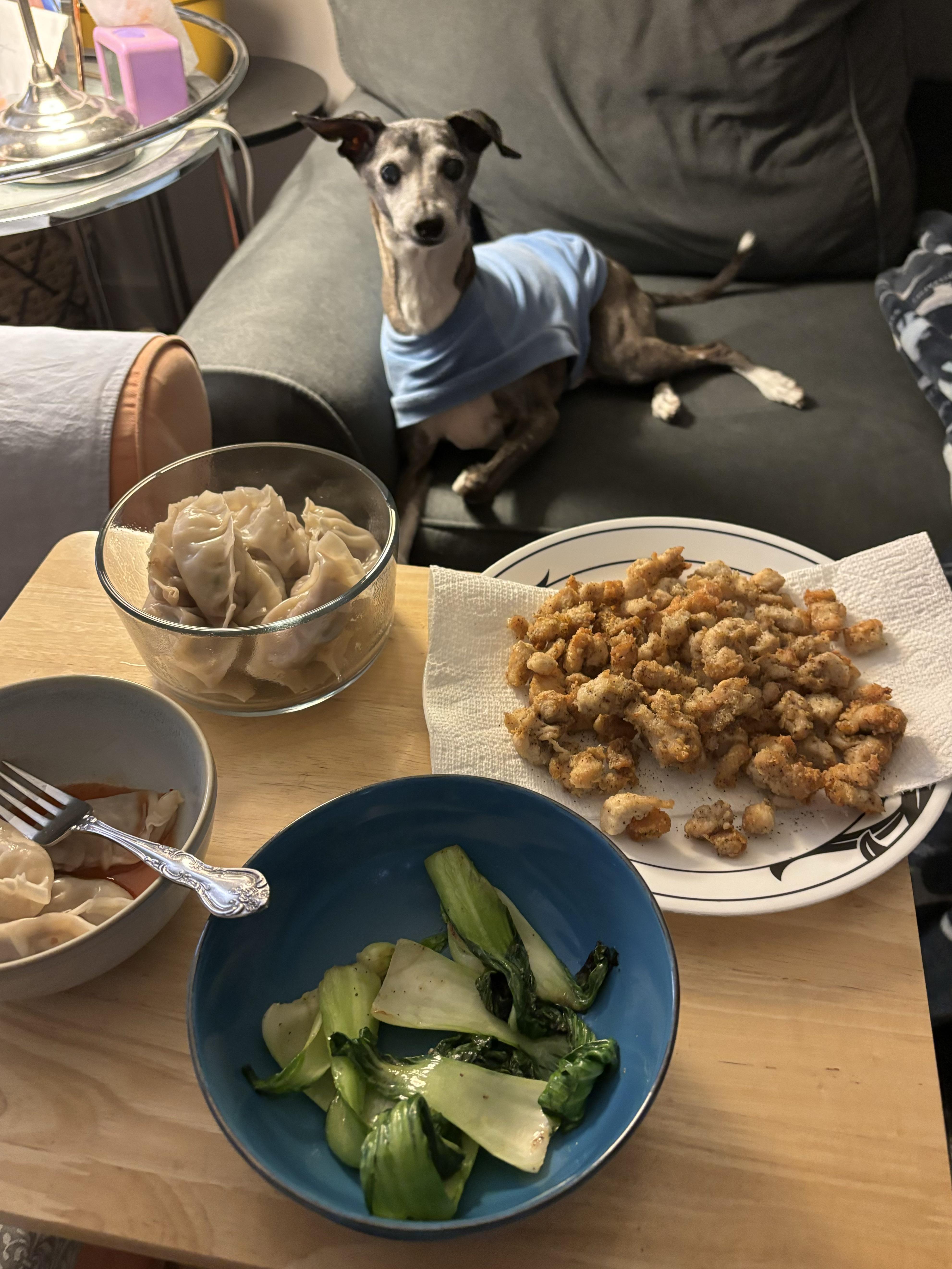 r/ItalianGreyhounds - Someone was very interested in our New Year’s dinner