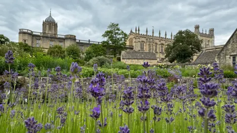 SATURDAY - Christ Church viewed through the lavender in Oxford was photographed by BBC Weather Watcher 