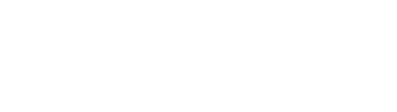 SKKU Logo