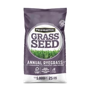 Annual Ryegrass 25 lb. 5,000 sq. ft. Grass Seed