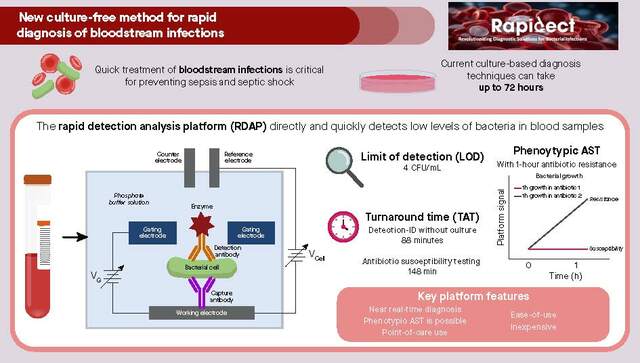 A novel way to perform rapid diagnosis of bloodstream infections