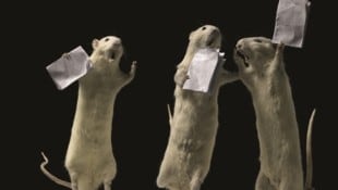 Die Künstlerin Deborah Sengl stellte mit präparierten Ratten Szenen aus „Die letzten Tage der Menschheit“ nach.  (Bild: Mischa Nawrata, Deborah Sengl)