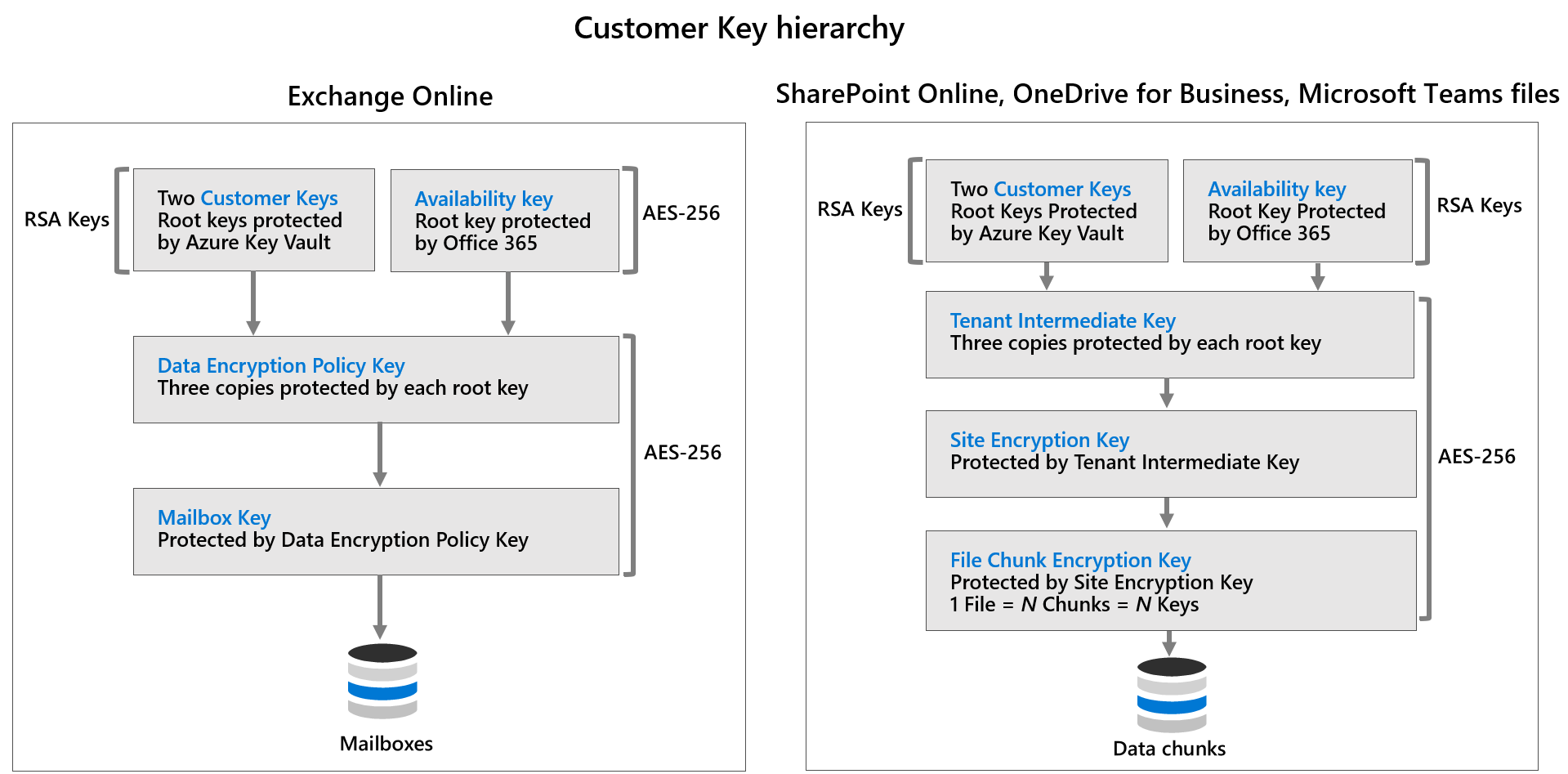 Diagram depicting the Microsoft Customer Key hierarchy.