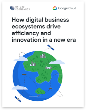 Digital Business Ecosystems