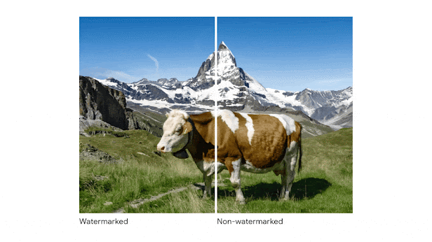 A gif rotating four different AI-generated images. The images are split by a vertical line down the middle. The left-hand side shows the watermarked version, the right side is the non-watermarked version. There's no obvious difference between the two. The four images show: an illustrated bear walking past a cabin, a photo-realistic cow standing on a grassy hill with a mountain behind it, a close-up black-and-white photograph of an armadillo, and an illustrated flamingo drinking from a lake.