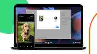 一部顯示金毛尋回犬照片的 Android 手機，以及顯示「咫尺共享」使用者介面的 Google Chromebook 正在接收照片。