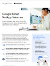 Google Cloud NetApp Volumes レポートの最初のページ 