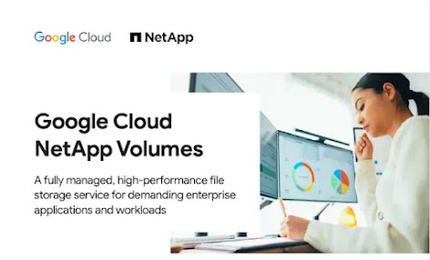 Google Cloud Netapp Volumes und eine Frau, die an einem Computer arbeitet