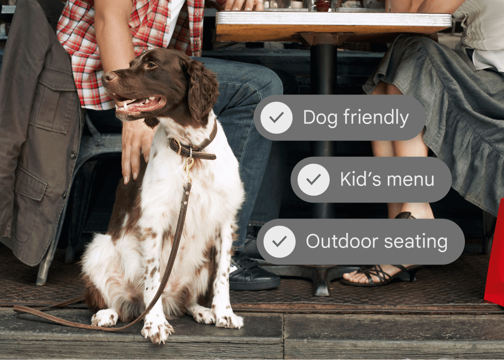 Ein Hund in einer Stadt mit daneben angezeigten Restaurantinformationen