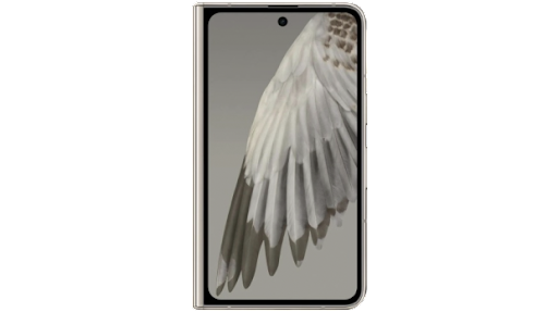 Ein Google Pixel Fold von vorne mit dem gestochen scharfen Foto eines Vogelflügels.