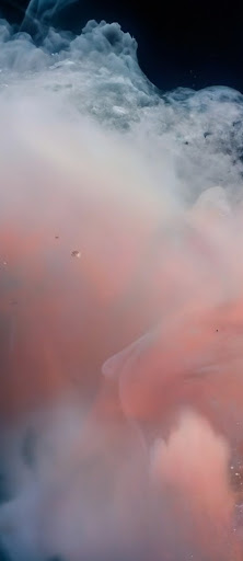 Uma imagem de uma onda líquida abstrata de cor pêssego com a mensagem "Onda líquida abstrata de cor pêssego".