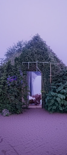 Yapay zeka tarafından üretilen, bitkilerden yapılmış bir ev. Açık kapıdan indigo çiçekler görülüyor. Üzerinde "Bitkilerden yapılmış çivit renkli ev" ifadesi bulunan çivit renkli çatlak zeminin arka planında çivit renkli gökyüzü yer alıyor.