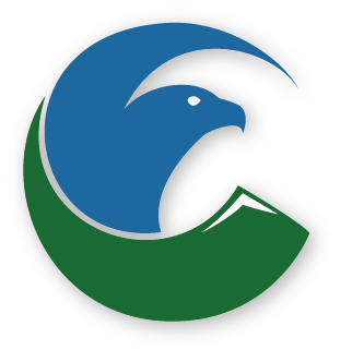 Logo Contea di Eagle