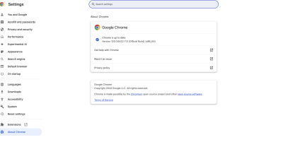 screenshot of Chrome Update page
