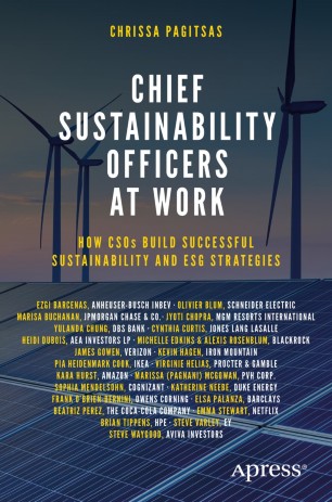 Front cover of Chief Sustainability Officers At Work