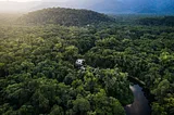 Harnessing Tech for Trees: Google Earth Engine & FAO Drive Forest Climate Action