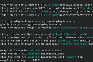 Terminal showing GatewayD logs