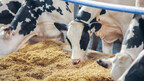 Elanco Announces FDA Has Completed Review of Bovaer®, First-in-Class Methane-Reducing Feed Ingredient, for U.S. Dairy Industry