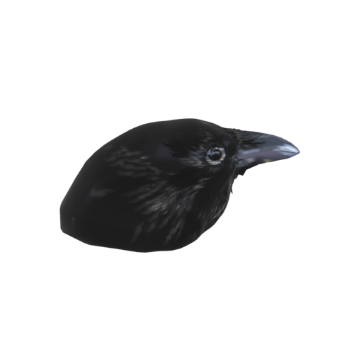 The crow's head is part of the crow, a bird species within the Corvidae family. Known for their black coloration and the cacophonic sounds they make, crows are highly adaptable and intelligent, showing behavioral complexity and problem-solving skills.