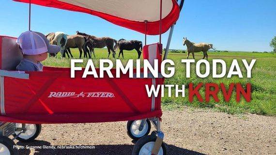Image for story: Farming Today with KRVN: June 13, 2024