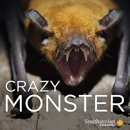 Ikonbilde Crazy Monster