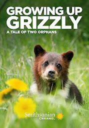 İkona şəkli Growing Up Grizzly