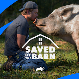 Saved By the Barn 아이콘 이미지