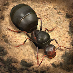 Ikoonprent The Ants: Underground Kingdom