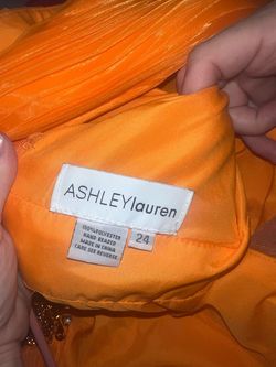 Ashley Lauren Orange Size 24 Floor Length Jersey Plus Size Swoop Ball gown on Queenly