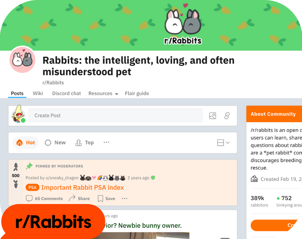 Rabbits banner