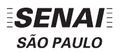 SENAI logo image