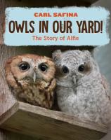 Image de couverture de Owls in Our Yard! : The Story of Alfie.
